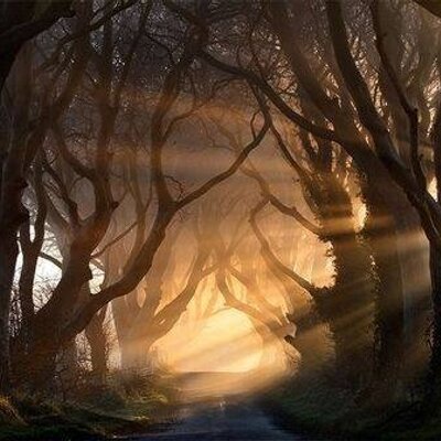 Profile Picture of Kevin Barrington (@Ubuntu1181) on Twitter