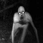 Stuarthouserecord - Youtube Profile Picture of Stuarthouserecord (@stuarthouserecord) on Youtube