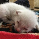 Profile Picture of Wade Emerson (@wadeemerson64) on Instagram