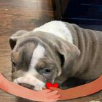 David Darius - Facebook Profile Picture of David Darius (@David-Darius) on Facebook