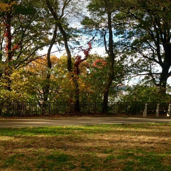 Profile Picture of Debbie Randall (@donald3duck) on Poshmark