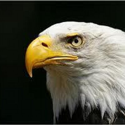 Profile Picture of Rafael Ramires (@rafinha_ramires) on Twitter