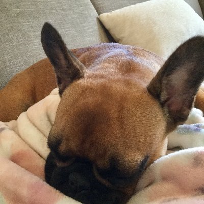 Profile Picture of Leia Jones (@LeiaJon55254207) on Twitter