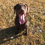 Profile Picture of Ollie (@ollie_bryant22) on Instagram