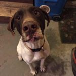 Profile Picture of Candy Keener (@keenercandy) on Instagram