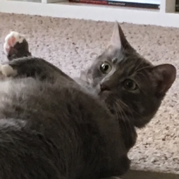 Profile Picture of Keith King (@kreature91) on Poshmark