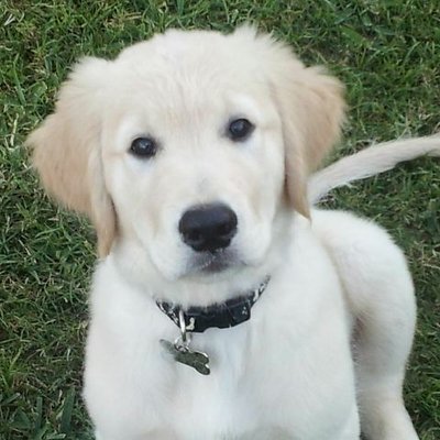 Profile Picture of Raymond Pletcher (@vavoom1122) on Twitter
