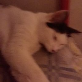 Profile Picture of Jeremiah Richardson (@rich_king360) on Twitter