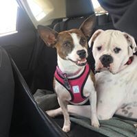 Profile Picture of Cindy Maul (@cindy-maul) on Quora