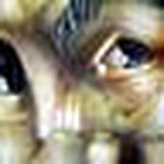 Profile Picture of Alex Pinto (@alex nj) on Flickr