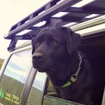 Profile Picture of Andrew England (@andrew.england.58) on Instagram