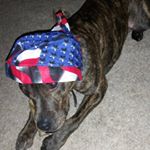 Profile Picture of Devon Burch (@devonburchdrb123) on Instagram