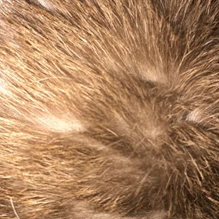 Profile Picture of Arlynn Grimm (@arlynn.grimm.1) on Facebook