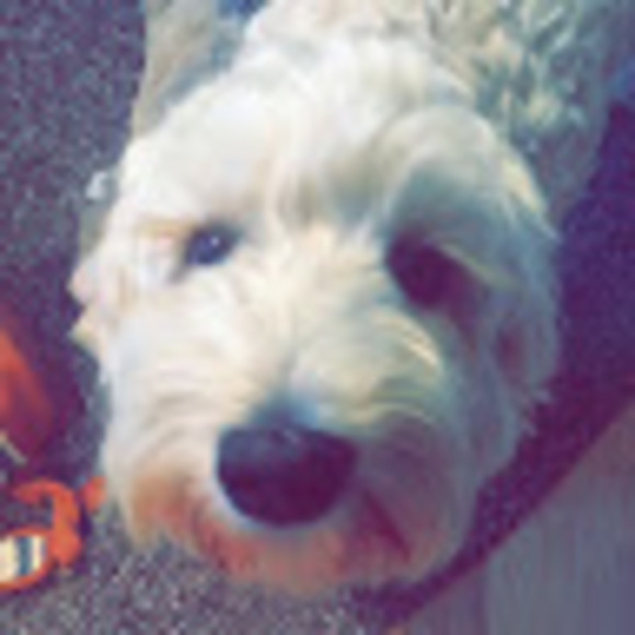 Profile Picture of Gigi For real (@gigiandherdog) on Poshmark