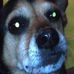 Profile Picture of Eva Ruff (Eva Jo) (@evajo28) on Facebook