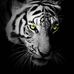 Profile Picture of Jason Alkire (@jason.alkire.79) on Facebook