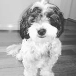 Profile Picture of ScottW (@scott_gong) on Instagram