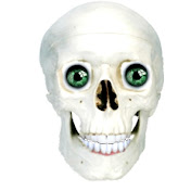 Profile Picture of Lucas Marty (@bellatorify) on Youtube