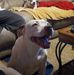 Profile Picture of Aaron Jordan (@aaron.jordan.7146557) on Facebook