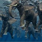 Profile Picture of Tomas Cardenas (@tomas.cardenas.r) on Instagram