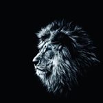Profile Picture of Erick miles (@erickmiles9) on Instagram