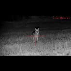 Profile Picture of Travis Sanicki (@travis.sanicki.7) on Facebook