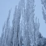 Profile Picture of Robert Steele (@Robert-Steele) on Facebook