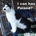 Profile Picture of Tim Carleton (@timcarleton73) on Pinterest