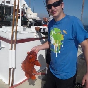 Profile Picture of Joel Greenfield (@joelgreenfield) on Myspace