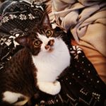 Profile Picture of Ian Botts (@iankbotts) on Instagram
