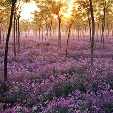 Profile Picture of Hilary Wilkinson (@HilaryWilko) on Twitter