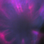Profile Picture of Archgreenhand (@archgreenhand) on Flickr
