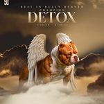 Profile Picture of Christopher Nightingale (@45south_bullies) on Instagram