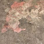 Andrew Timson - Instagram Profile Picture of Andrew Timson (@andrew.timson.5) on Instagram