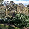 Profile Picture of Wittunga Botanic Garden - Wikipediaon Wikipedia