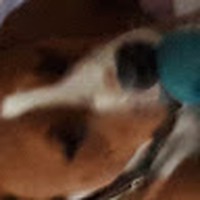 Profile Picture of Caleb Chandler (@caleb-chandler-33) on Quora