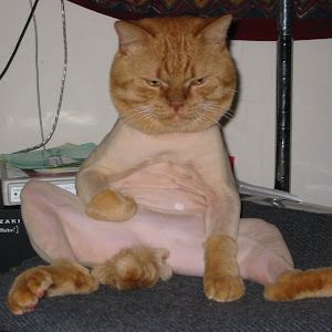 Profile Picture of Shandalar1 (@shandalar1) on Tiktok