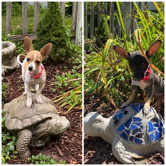 Profile Picture of Vianney Garcia (@pvgarcia) on Poshmark