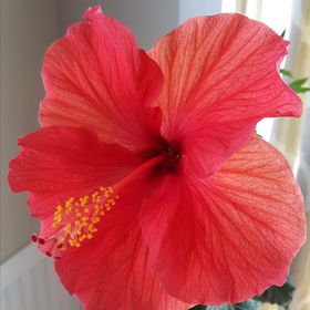 Profile Picture of Kimberly Wendt (@kimwendt1) on Pinterest
