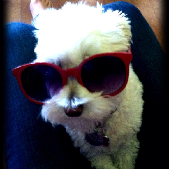 Katie Banas - Poshmark Profile Picture of Katie Banas (@kbanas) on Poshmark