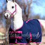 Profile Picture of Hööks.se (@horse.redigeringar) on Instagram