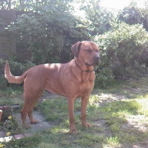 Profile Picture of Stuart Headen (@234631256) on Myspace