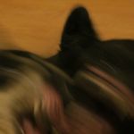 Profile Picture of Pilvi o Erik Mattila Sundberg (@iddja_kyyhky) on Instagram