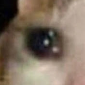 Profile Picture of Jonathan Mckinney (@jonathanmckinney8458) on Youtube