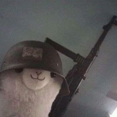 Profile Picture of Qianyu (@qian_yu21) on Twitter