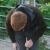 Profile Picture of Luke Dunstan (@138912066) on Myspace