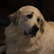 Profile Picture of Tyler Wilson (@tylerjacobwilson) on Youtube