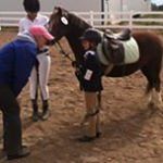 Profile Picture of Nancy MacIsaac (@macisaacnancy) on Instagram