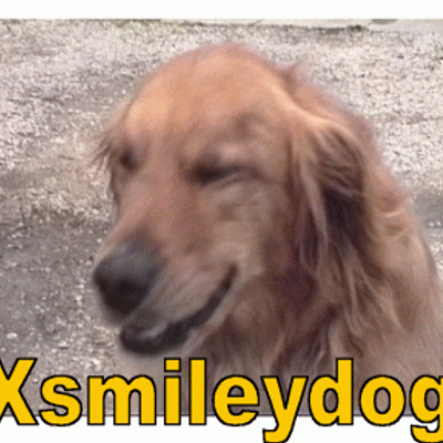 Profile Picture of Robert Reimer (@XSmileydog) on Twitter