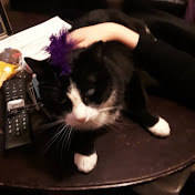 Profile Picture of Glenn Edwards DexterjarYT (@glennedwardsdexterjaryt9783) on Youtube